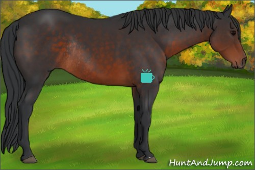 Horse Color:Brown Rabicano 