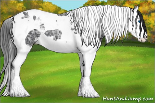 Horse Color:Black Ice Splash Tobiano 