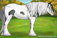 Horse Color:Black Splash Tobiano 