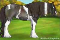 Horse Color:White Spotted Smoky Black Tobiano 