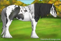 Horse Color:Black Splash Tobiano