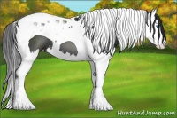 Horse Color:Black Splash Tobiano