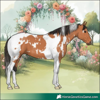 Horse Color:White Spotted Bay Tobiano 
