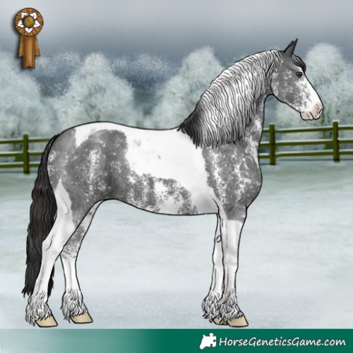 Horse Color:Liver Chestnut Sabino Tobiano