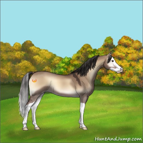 Horse Color:Liver Red Dun Onyx Splash 