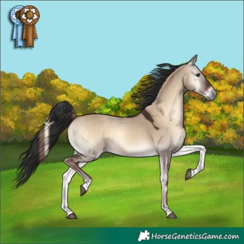 Horse Color:Liver Red Dun Onyx 