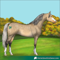 Horse Color:Silver Buckskin Dun 