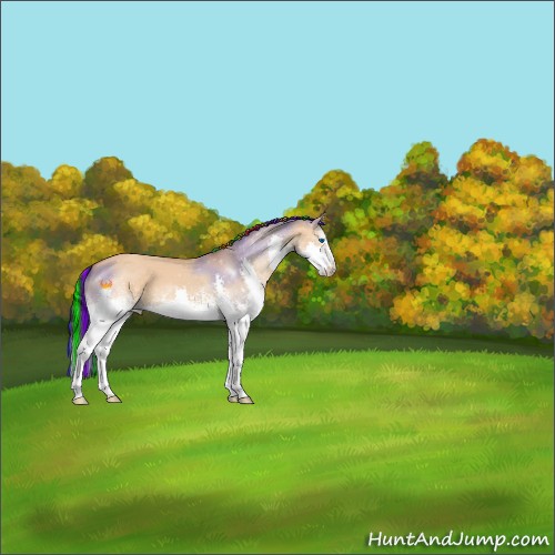 Horse Color:Painted White Spotted Bay Dun Splash 