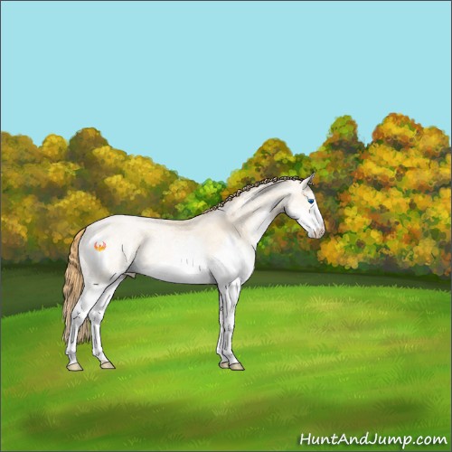Horse Color:White Spotted Buckskin Ice Pearl Splash 