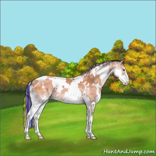 Horse Color:Painted White Spotted Bay Ice Splash 