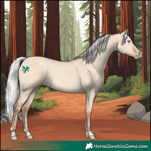 Horse Color:Silver Amber Champagne Dun Rabicano 