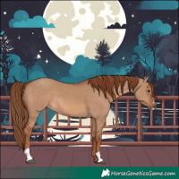 Horse Color:Red Dun Sabino 