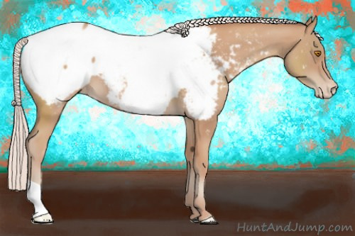 Horse Color:Silver Classic Champagne Appaloosa 