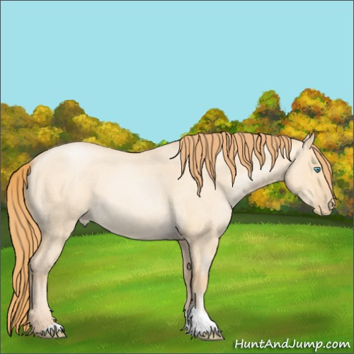 Horse Color:Buckskin Roan Pearl Dun 