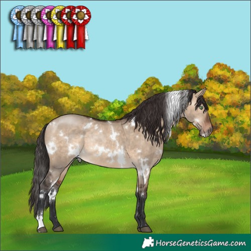 Horse Color:White Spotted Brown Dun Rabicano 