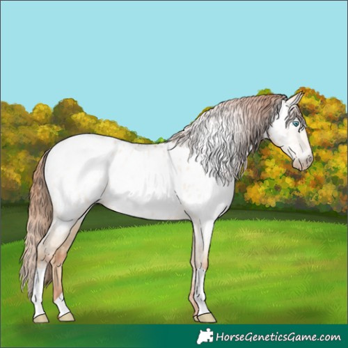 Horse Color:Gray Amber Cream Champagne Pearl Dun Near Leopard