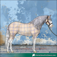 Horse Color:Plaid  Silver Amber Champagne Roan Splash 