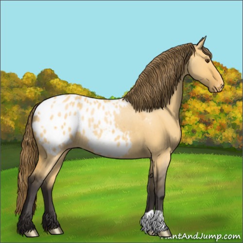 Horse Color:Buckskin Dun Varnish Rabicano