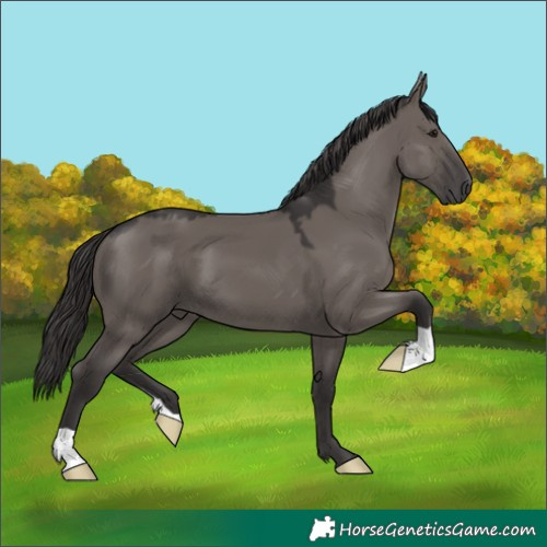Horse Color:Smoky Grullo 