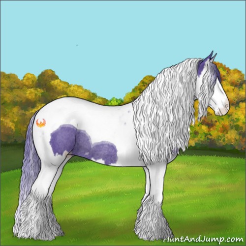 Horse Color:Watercolor Black Splash Tobiano Appaloosa Rabicano 