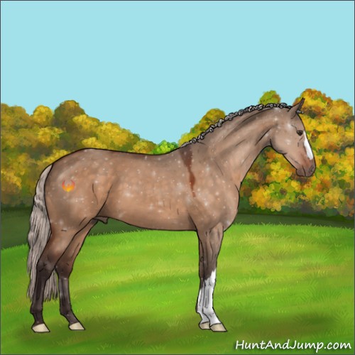 Horse Color:Silver Brown Dun 