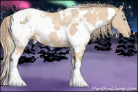 Horse Color:White Spotted Perlino Blanket