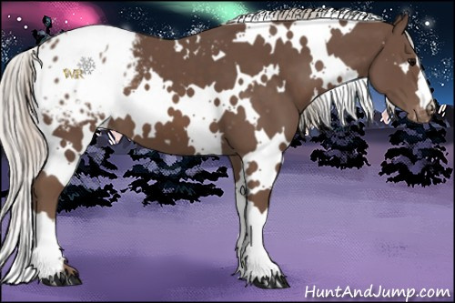 Horse Color:White Spotted Silver Black Blanket