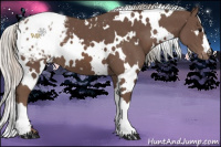 Horse Color:White Spotted Silver Black Blanket 