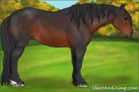 Horse Color:Brown 