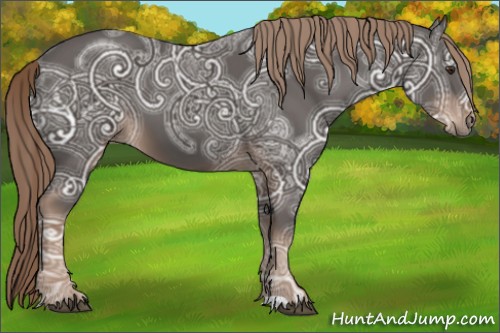 Horse Color:Liver Chestnut Ice 