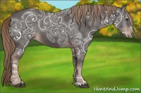 Horse Color:Liver Chestnut Ice 