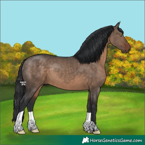 Horse Color:Brown Dun
