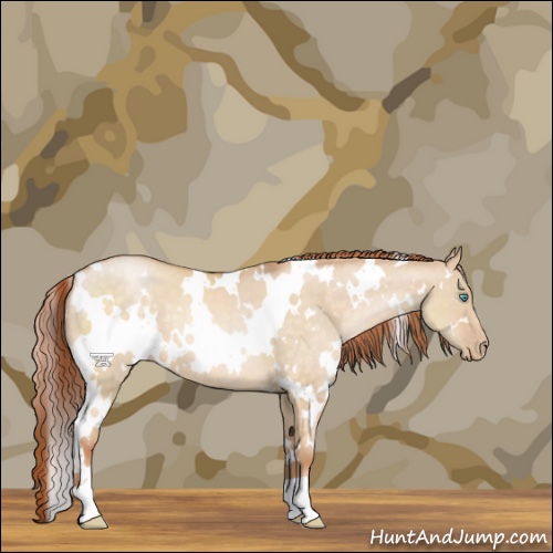 Horse Color:White Spotted Buckskin Pearl Dun 