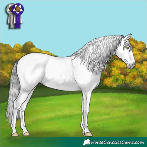 Horse Color:Gray Amber Champagne Dun Sabino Splash 