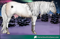 Horse Color:Gray Silver Brown Dun Tobiano  and Silver Bay Dun 