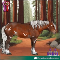 Horse Color:White Spotted Silver Brown Tobiano