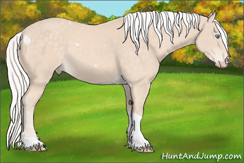 Horse Color:White Spotted Silver Perlino Tobiano 