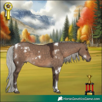 Horse Color:White Spotted Silver Brown Dun Tobiano 
