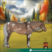 Horse Color:White Spotted Silver Brown Dun Tobiano