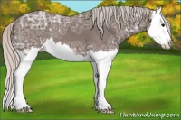 Horse Color:Silver Black Ice Splash 