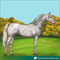 Horse Color:Chocolate Palomino Roan Snowflake Varnish