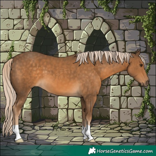 Horse Color:Chocolate Palomino 
