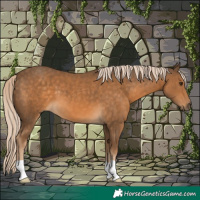 Horse Color:Chocolate Palomino 
