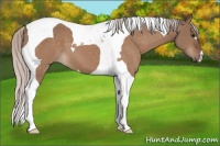 Horse Color:Silver Brown Dun Tobiano 