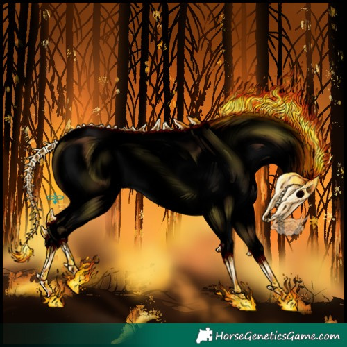 Horse Color:Void Buckskin Dun Sabino Splash Appaloosa 