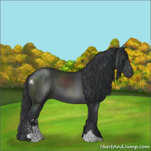 Horse Color:Black Sabino 