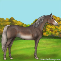 Horse Color:Silver Black 