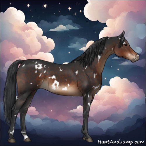 Horse Color:White Spotted Brown 