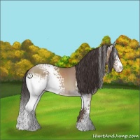 Horse Color:White Spotted Classic Champagne Sabino 