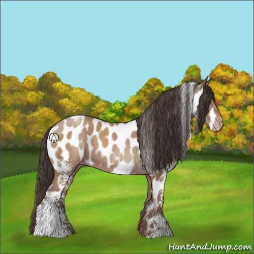 Horse Color:White Spotted Classic Champagne Sabino Near Leopard 